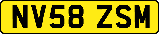 NV58ZSM