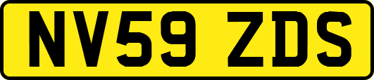 NV59ZDS