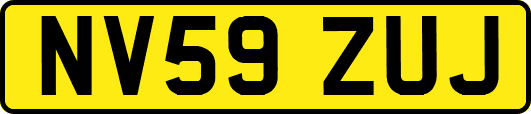 NV59ZUJ