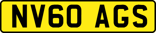NV60AGS