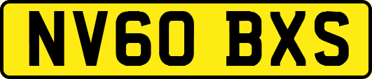 NV60BXS