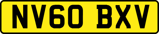 NV60BXV