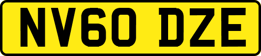 NV60DZE