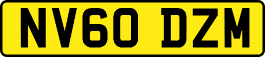 NV60DZM
