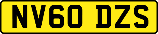 NV60DZS