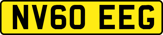 NV60EEG