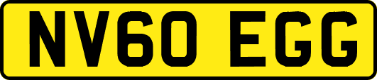 NV60EGG