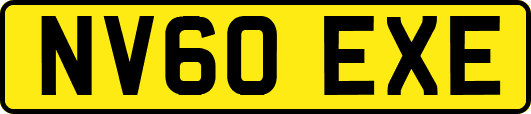 NV60EXE