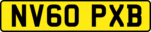 NV60PXB