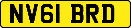 NV61BRD