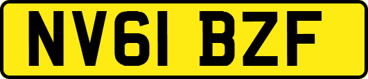 NV61BZF