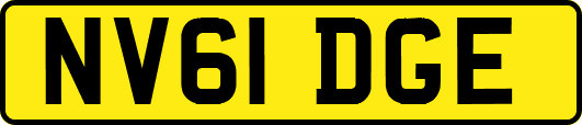 NV61DGE