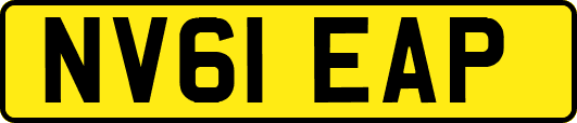 NV61EAP