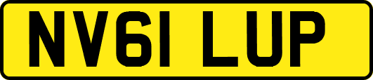 NV61LUP