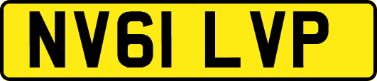 NV61LVP