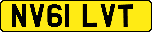 NV61LVT