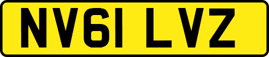 NV61LVZ