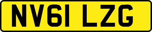 NV61LZG