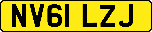 NV61LZJ