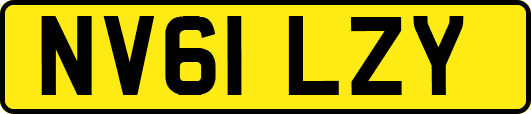 NV61LZY