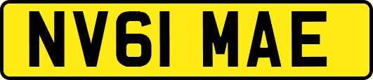 NV61MAE