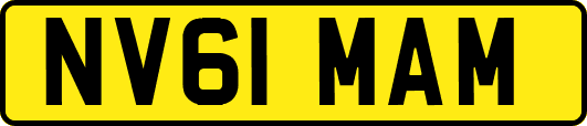 NV61MAM