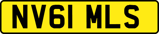 NV61MLS