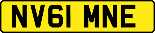 NV61MNE
