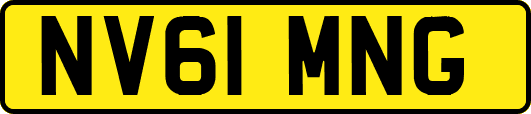 NV61MNG