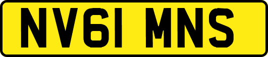NV61MNS