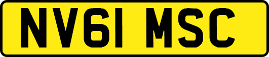 NV61MSC