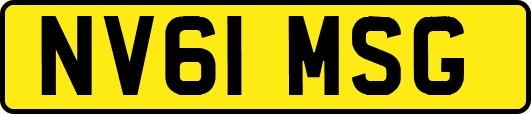 NV61MSG