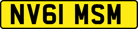 NV61MSM