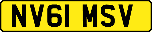 NV61MSV