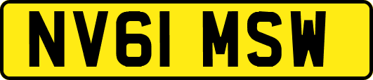 NV61MSW