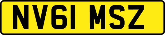 NV61MSZ