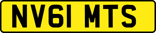 NV61MTS