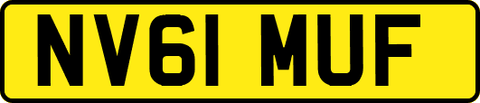 NV61MUF