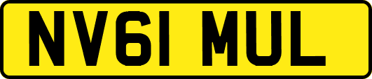NV61MUL
