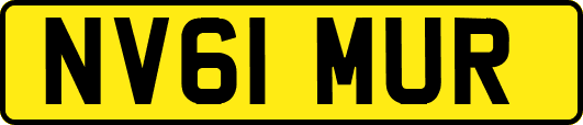 NV61MUR