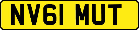 NV61MUT