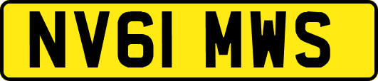 NV61MWS