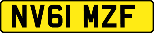 NV61MZF