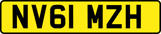 NV61MZH