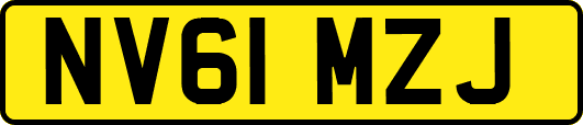 NV61MZJ