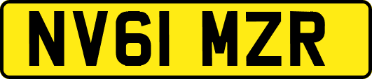 NV61MZR