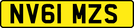 NV61MZS