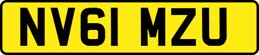 NV61MZU