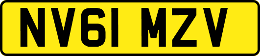 NV61MZV