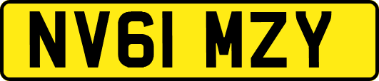 NV61MZY